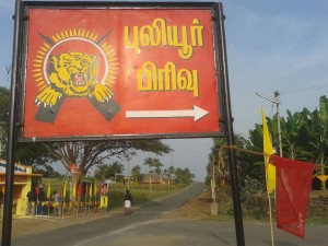puli