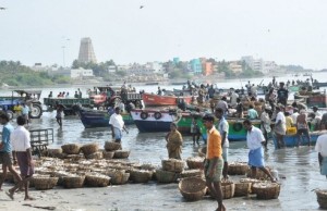 rameswaram6
