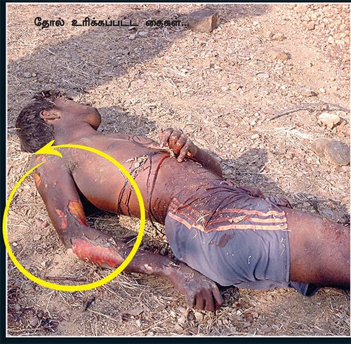 vikatan (3)