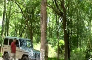 tirupathi-arrested