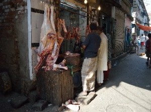 beef-shop