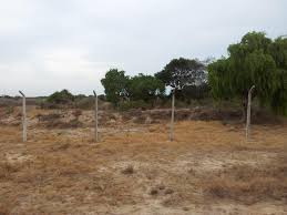 land