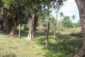 96c931b3-d9ec-46c2-9403-b3528aad36dc