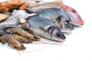 fish_seafood_1