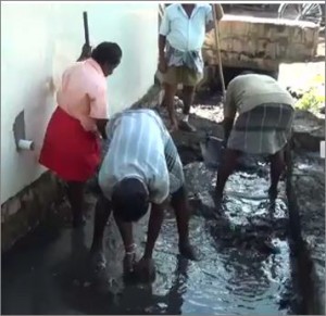 kalivu