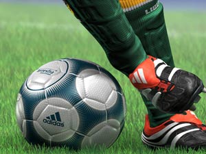 foot